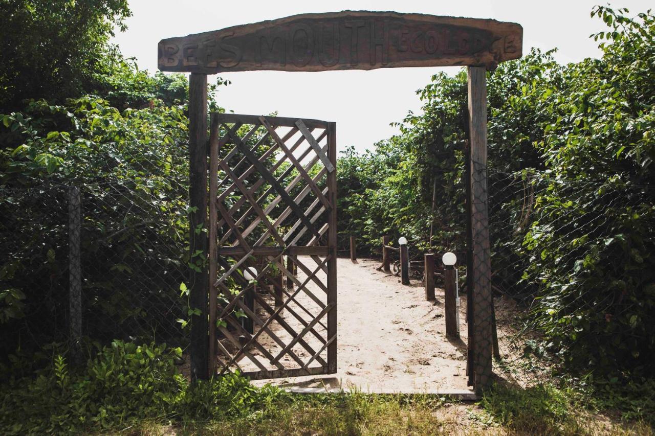 Hotel Bees Mouth Gambia Sanyang Exteriér fotografie